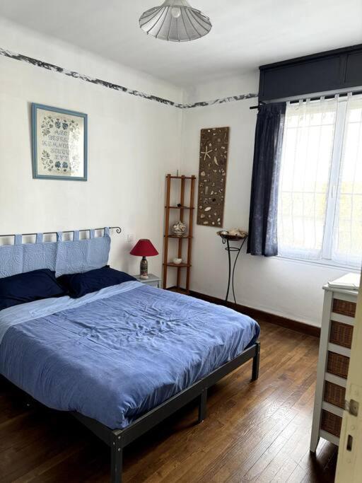 Appartement Sabatier T4 Avec Terrasse Et Jardin Carcassonne Exteriör bild