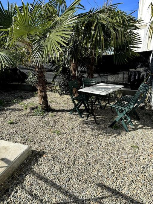 Appartement Sabatier T4 Avec Terrasse Et Jardin Carcassonne Exteriör bild